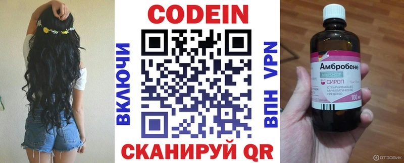 мега ТОР  Петровск-Забайкальский  Codein напиток Lean (лин)  как найти наркотики 