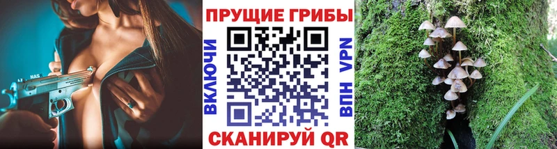 Псилоцибиновые грибы прущие грибы  Петровск-Забайкальский 